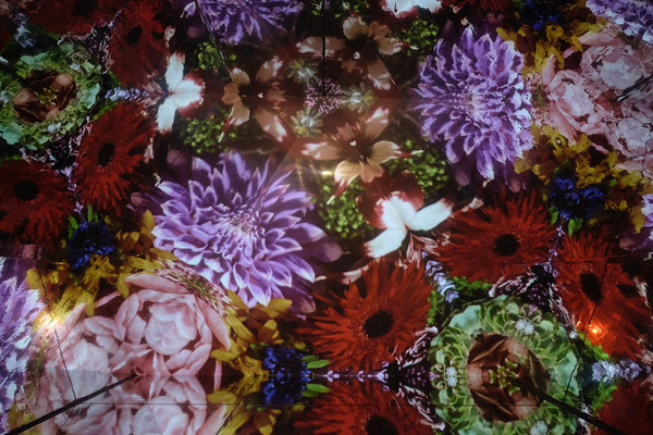 フラワーアート ユニット Plantica プランティカ が 台湾で開催される 萬 花 筒kaleidoscope 特展 のインスタレーション作品を提供 Beecruise株式会社