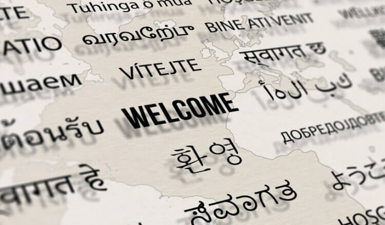 海外向け広告配信や多言語ページ制作を行いたい